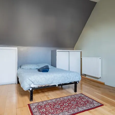 Holiday home Renovated House With Garden -20min From Strasbourg Blaesheim